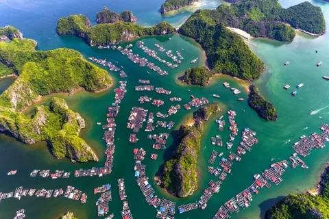 Toàn cảnh trên cao làng chài với những bè nổi san sát giữa các đảo đá vôi ở vịnh Lan Hạ