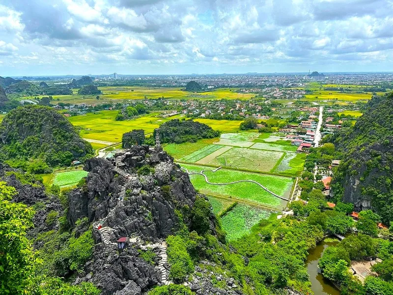 Toàn cảnh từ đỉnh Hang Múa nhìn xuống những cánh đồng lúa vàng và núi đá vôi vùng Ninh Bình.