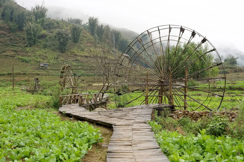 Những guồng nước tre truyền thống nằm dọc lối đi gỗ xuyên qua ruộng rau xanh ở bản Cát Cát, Sa Pa.