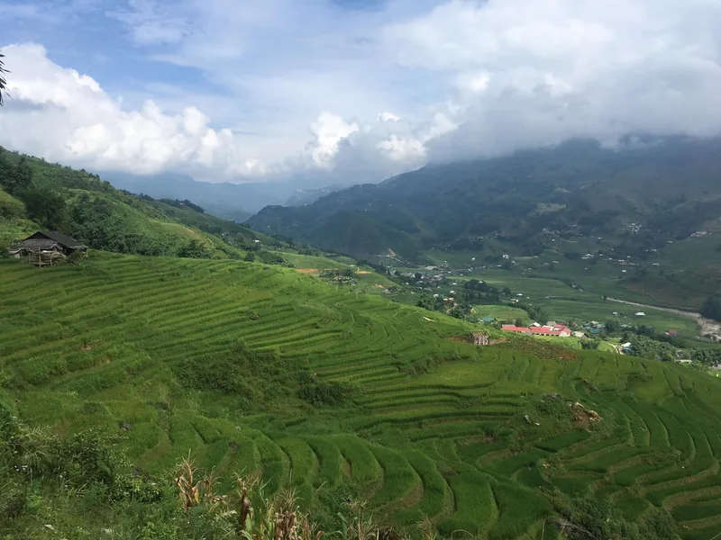 Những thửa ruộng bậc thang xanh mướt trải dài trên sườn núi nhìn xuống thung lũng Mường Hoa, Sa Pa.